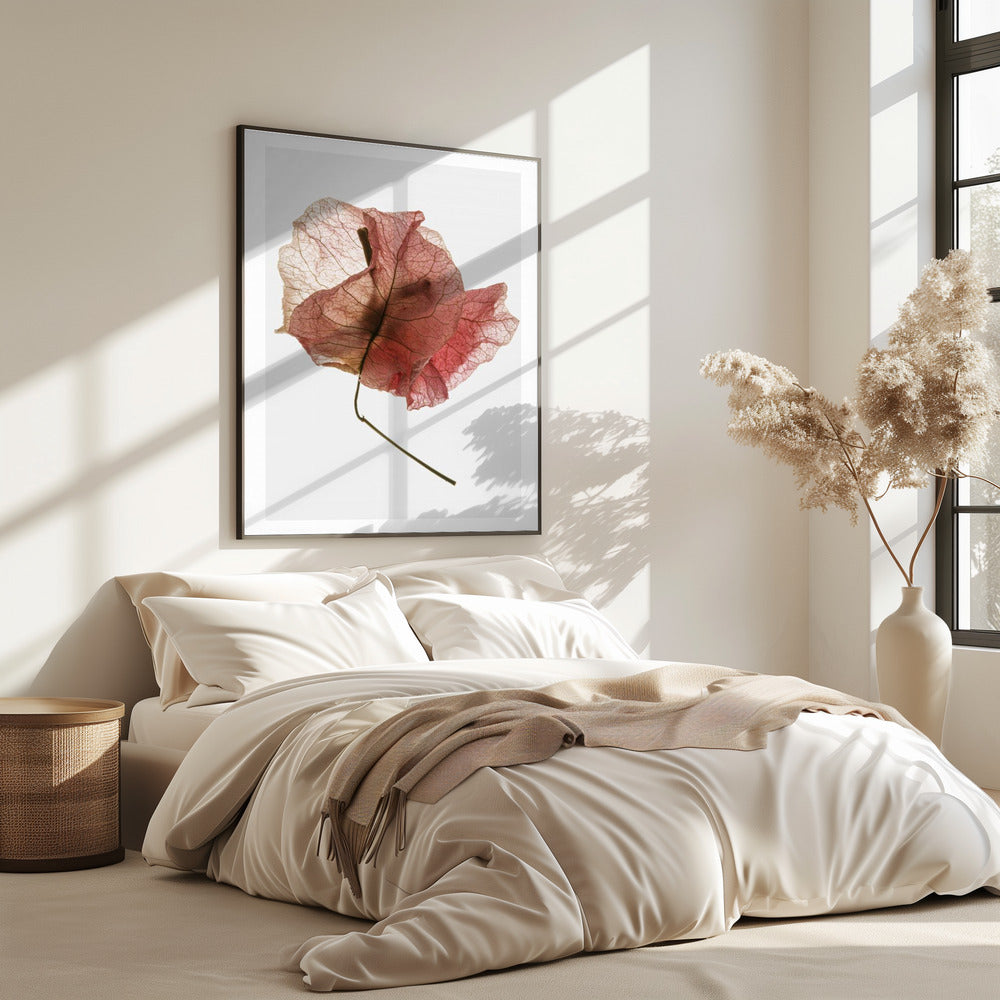 Delicate Petal Veins | Poster