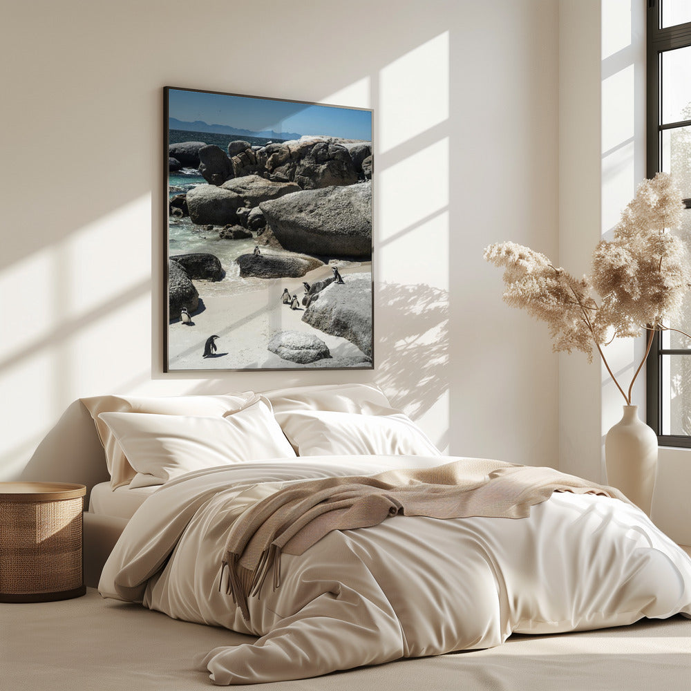 Penguin Cove Serenity | Poster