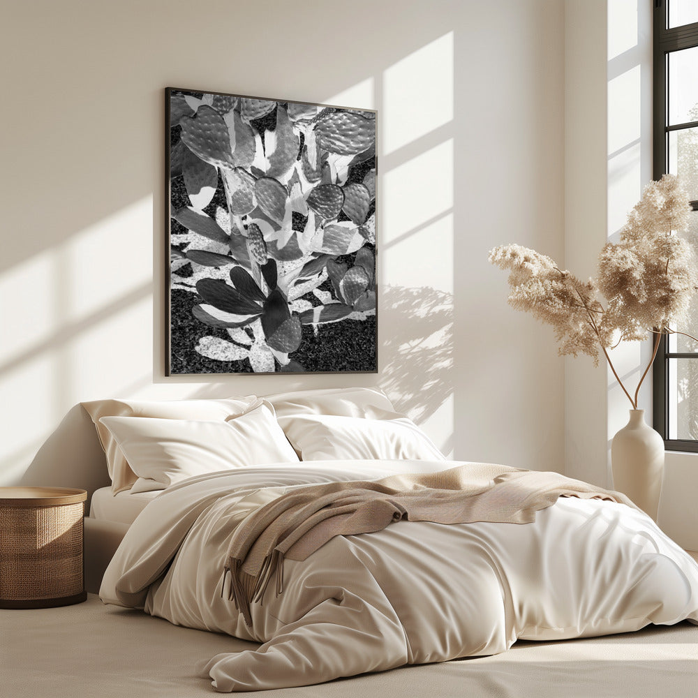 Prickly Patterns | Poster