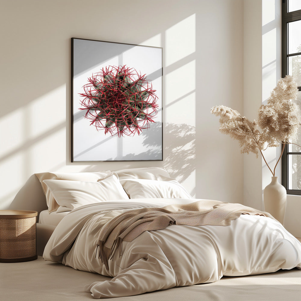 Crimson Cactus Crown | Poster