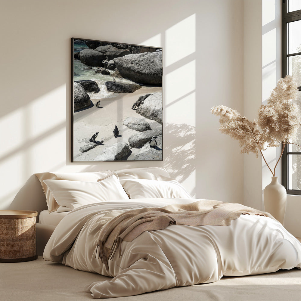 Penguin Beach Stroll | Poster