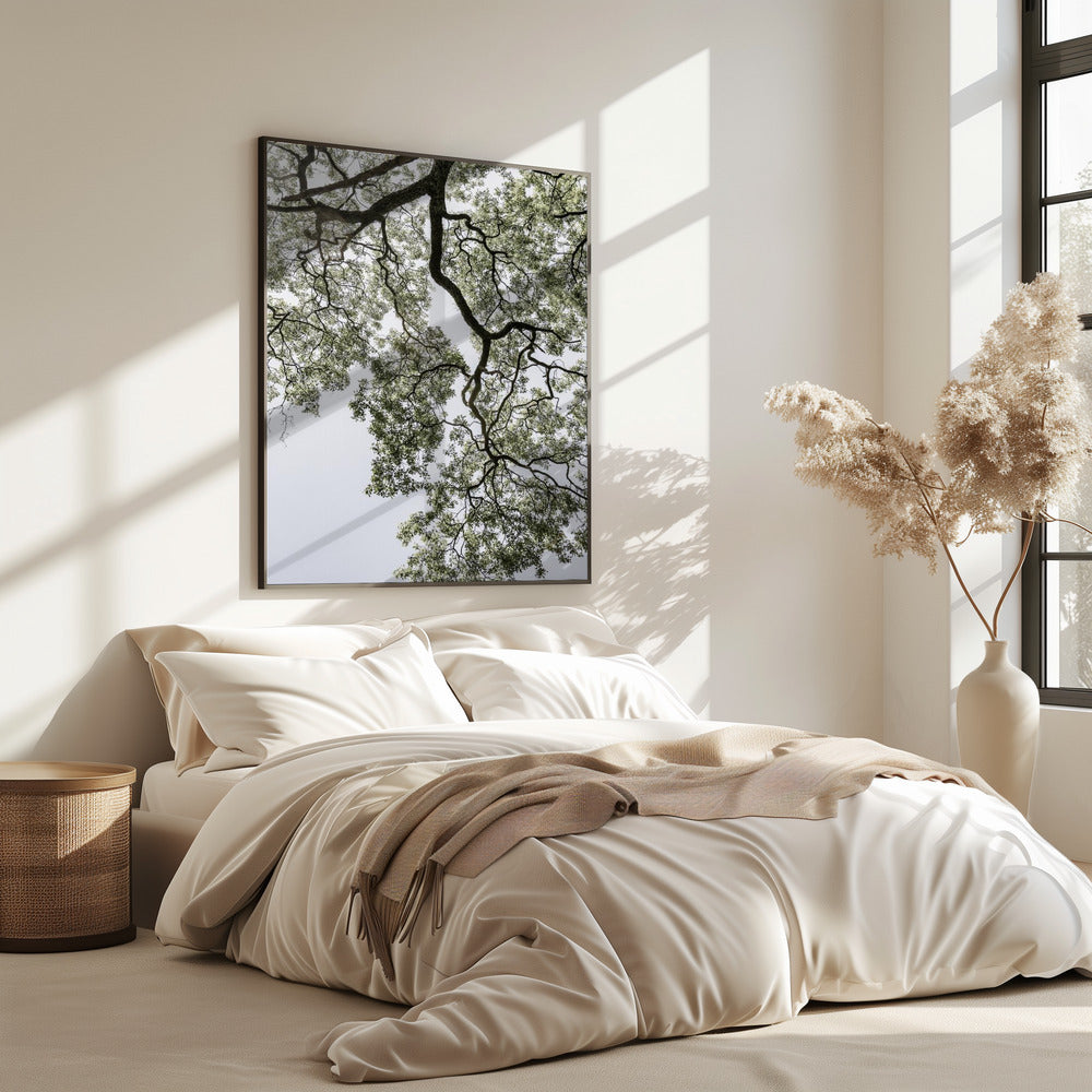 Ethereal Canopy | Poster