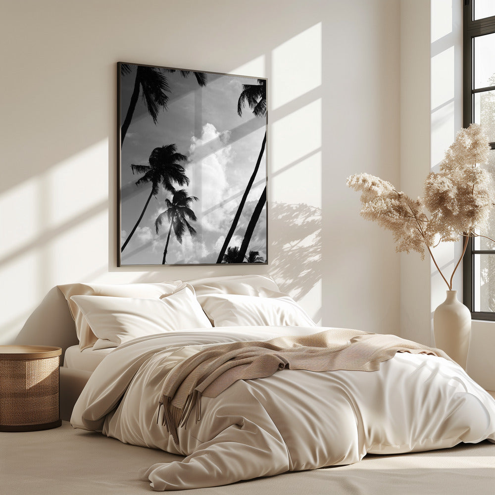 Silhouetted Palms | Poster