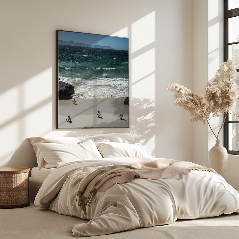 Penguin Beach Stroll | Poster