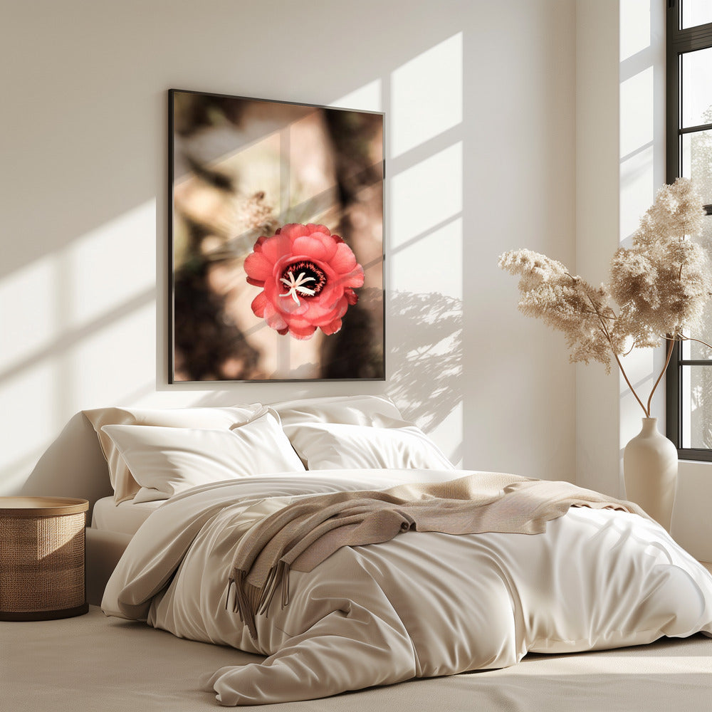 Desert Bloom Dance | Poster