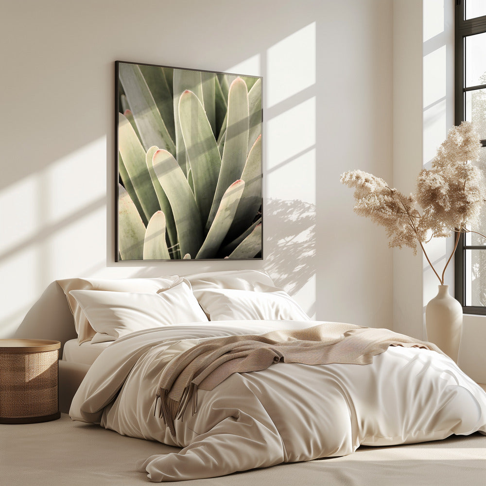 Succulent Symphony | Poster