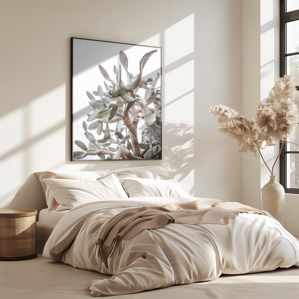 Cactus Whispers | Poster