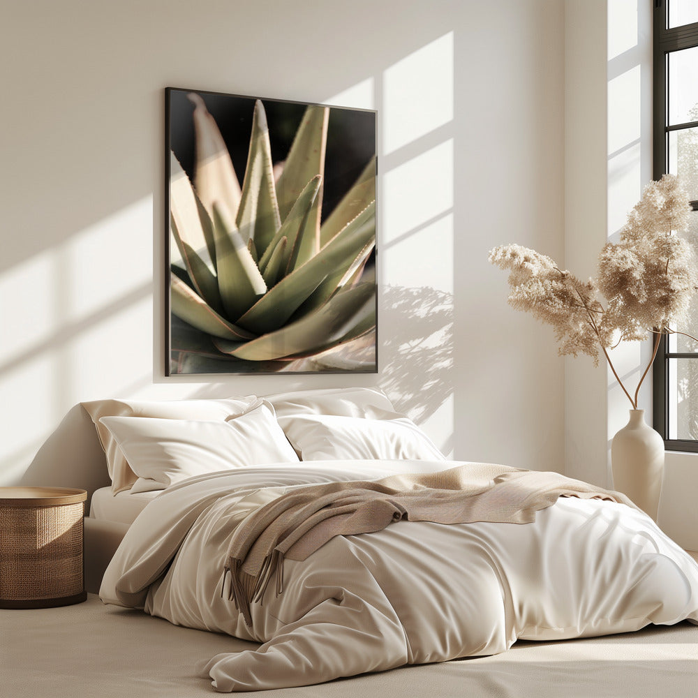 Sunlit Succulent | Poster