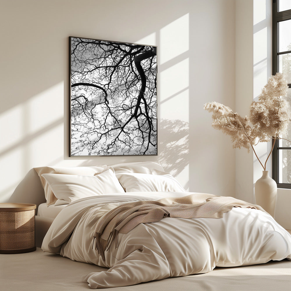 Branches&#039; Dance | Poster