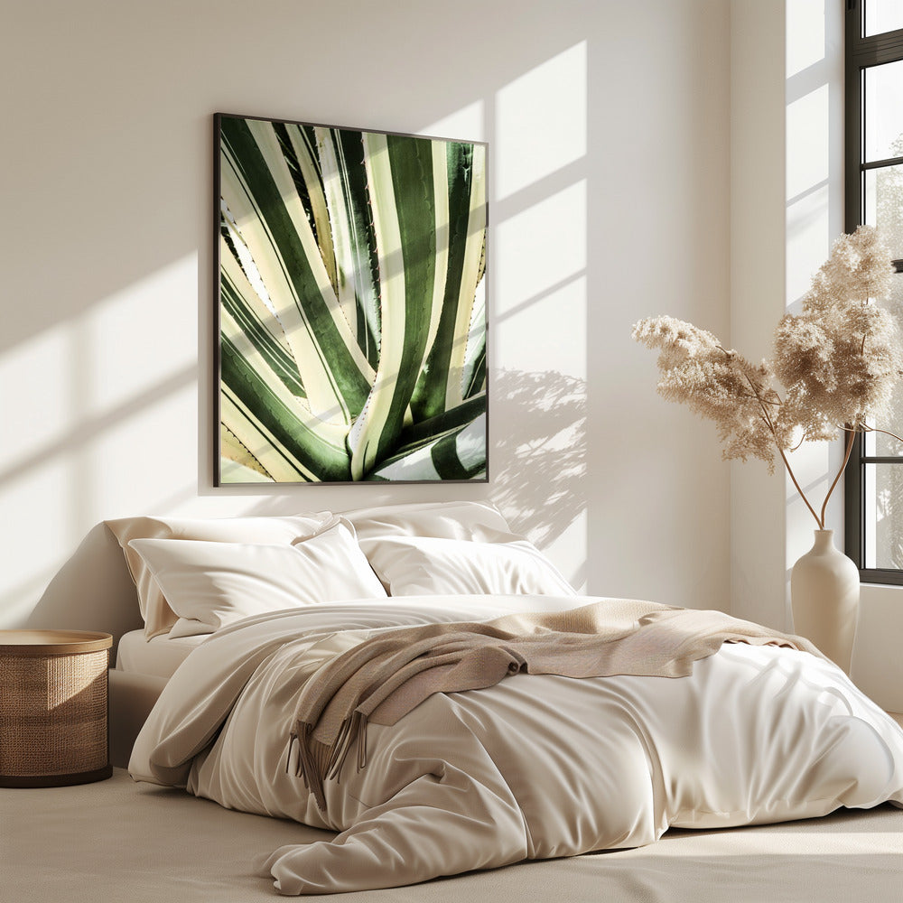 Succulent Symphony | Poster