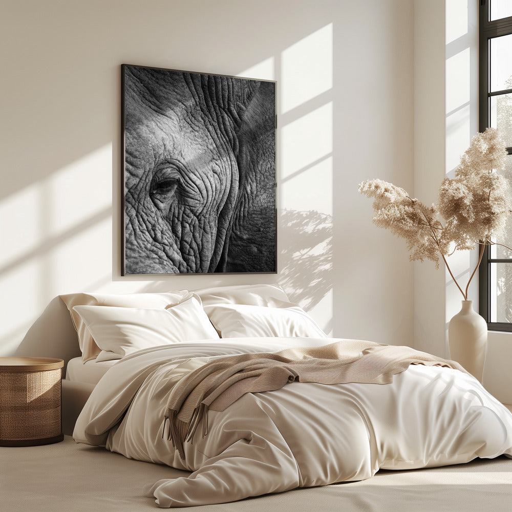 Wisdom&#039;s Wrinkles | Poster