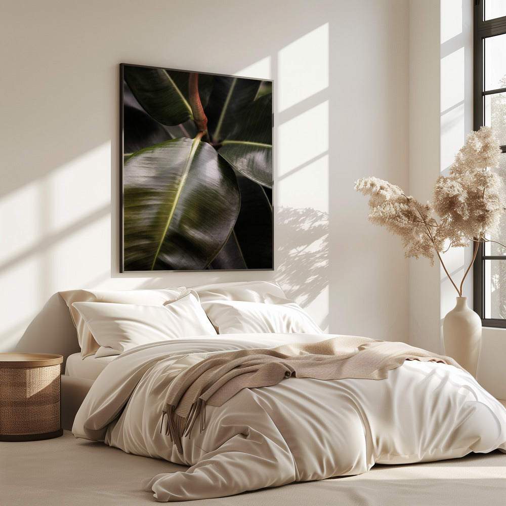 Glossy Leaf Elegance | Poster