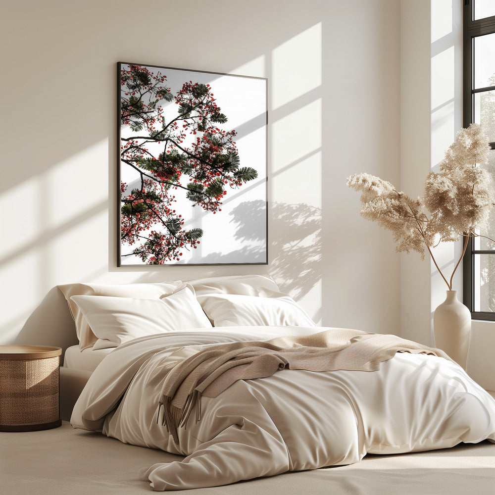 Blossom Canopy | Poster