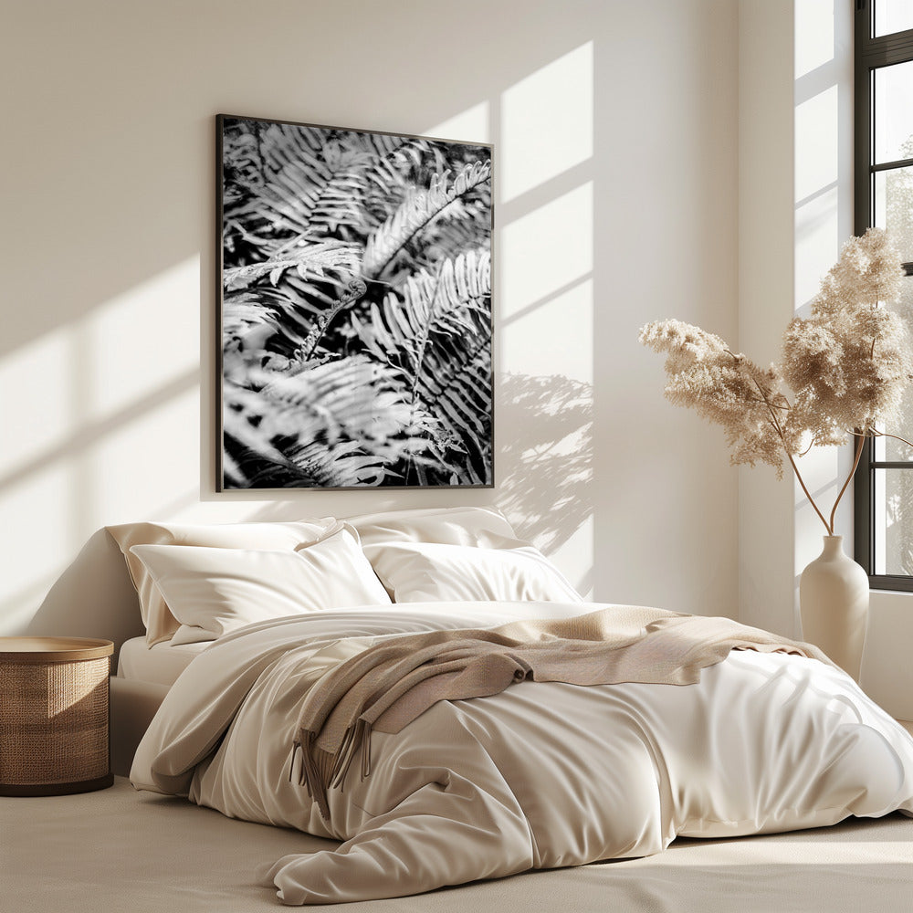 Whispering Ferns | Poster