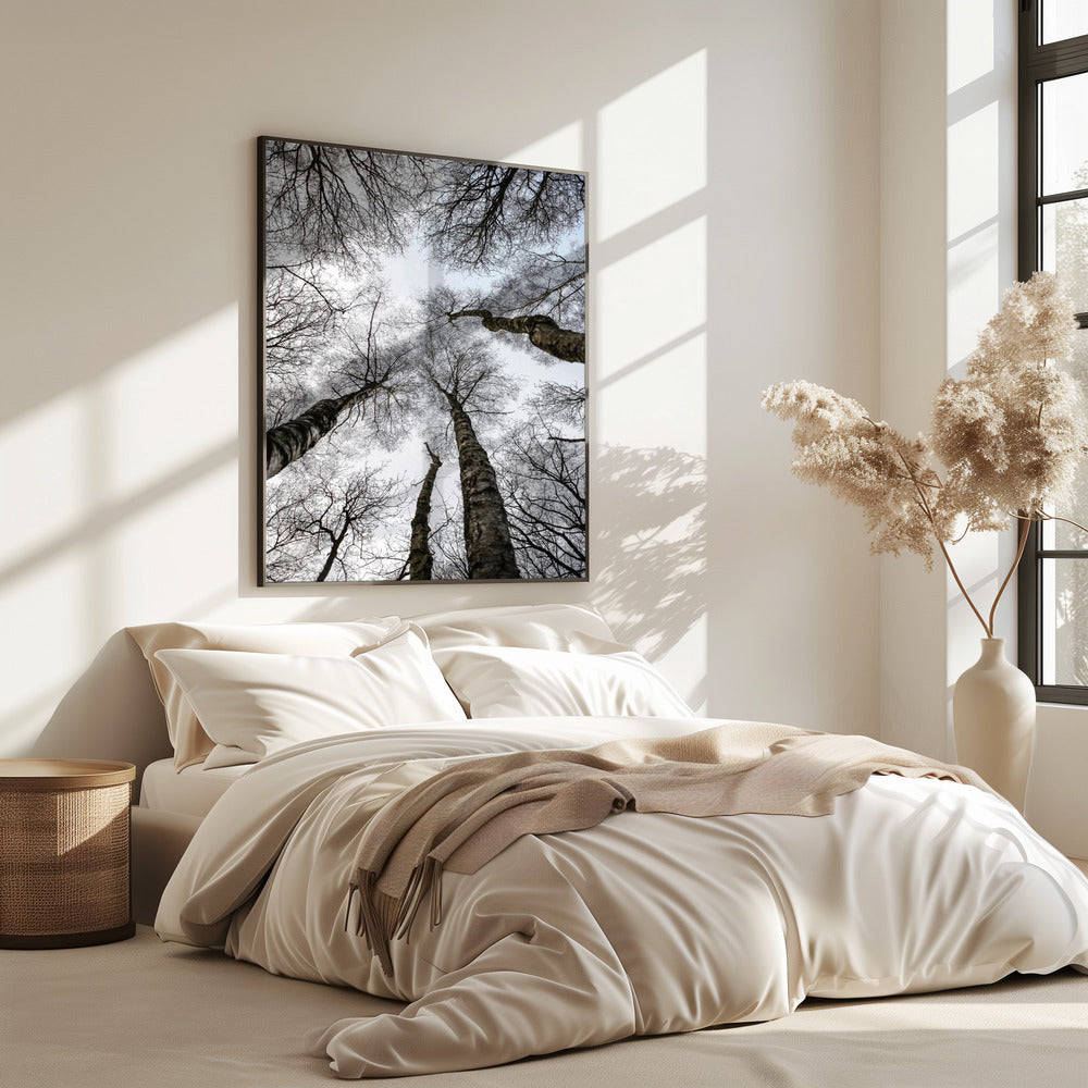 Winter&#039;s Embrace | Poster