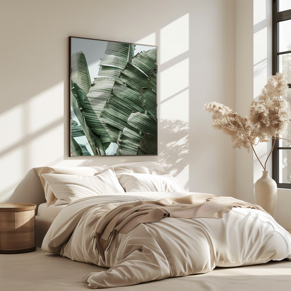 Banana Leaf Harmony | Poster