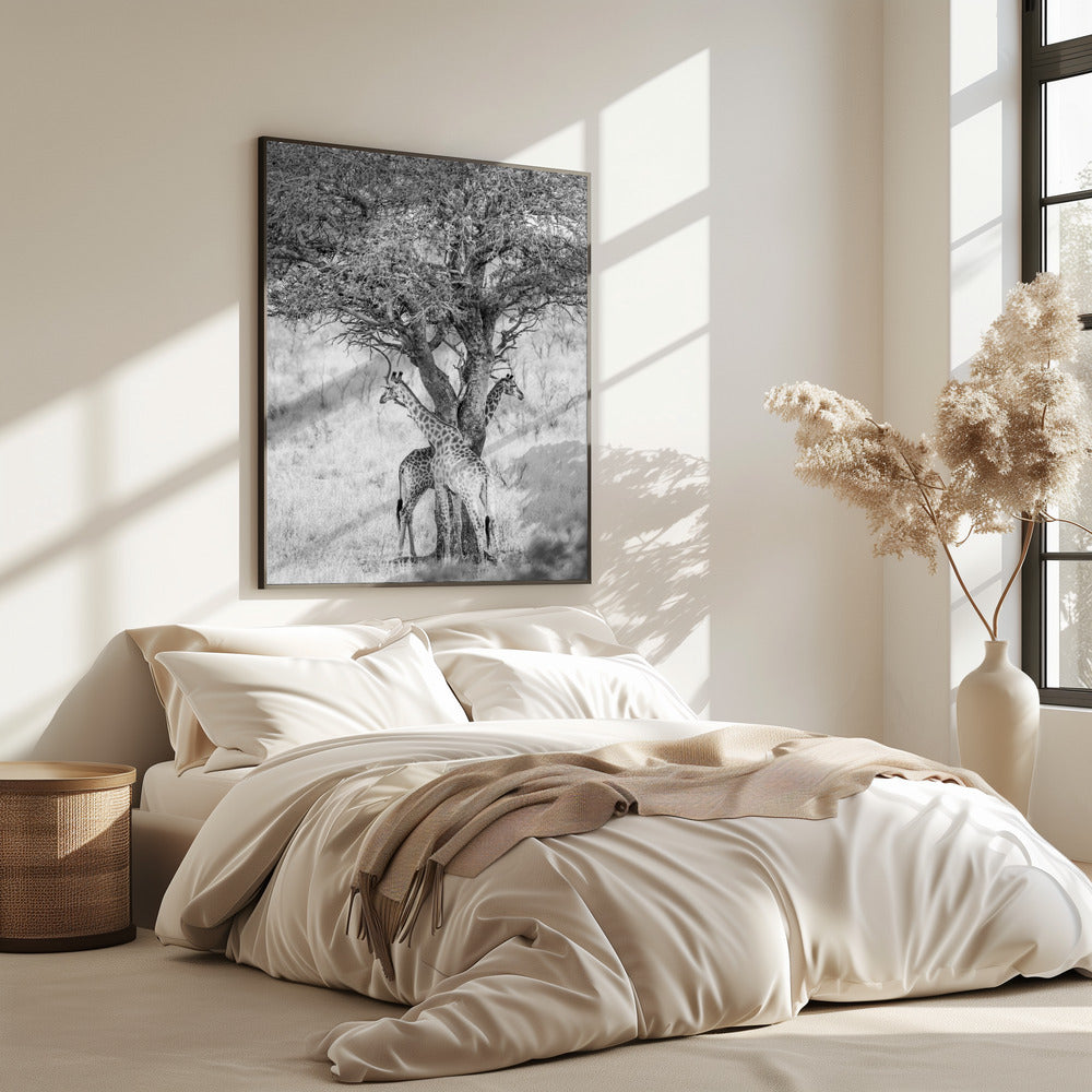 Under African Skies | Poster