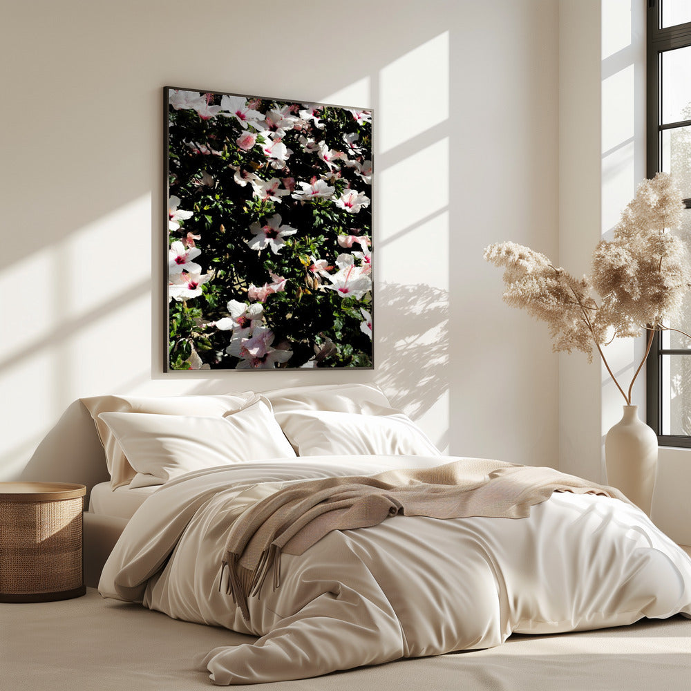 Blossom Symphony | Poster