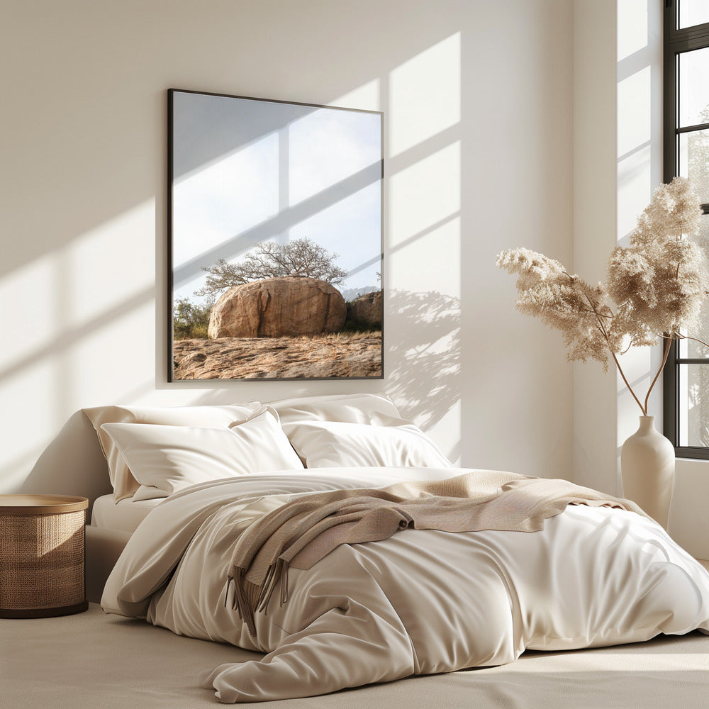 Tree on a Boulder | Poster