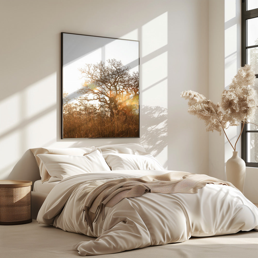 Sunlit Silhouette | Poster