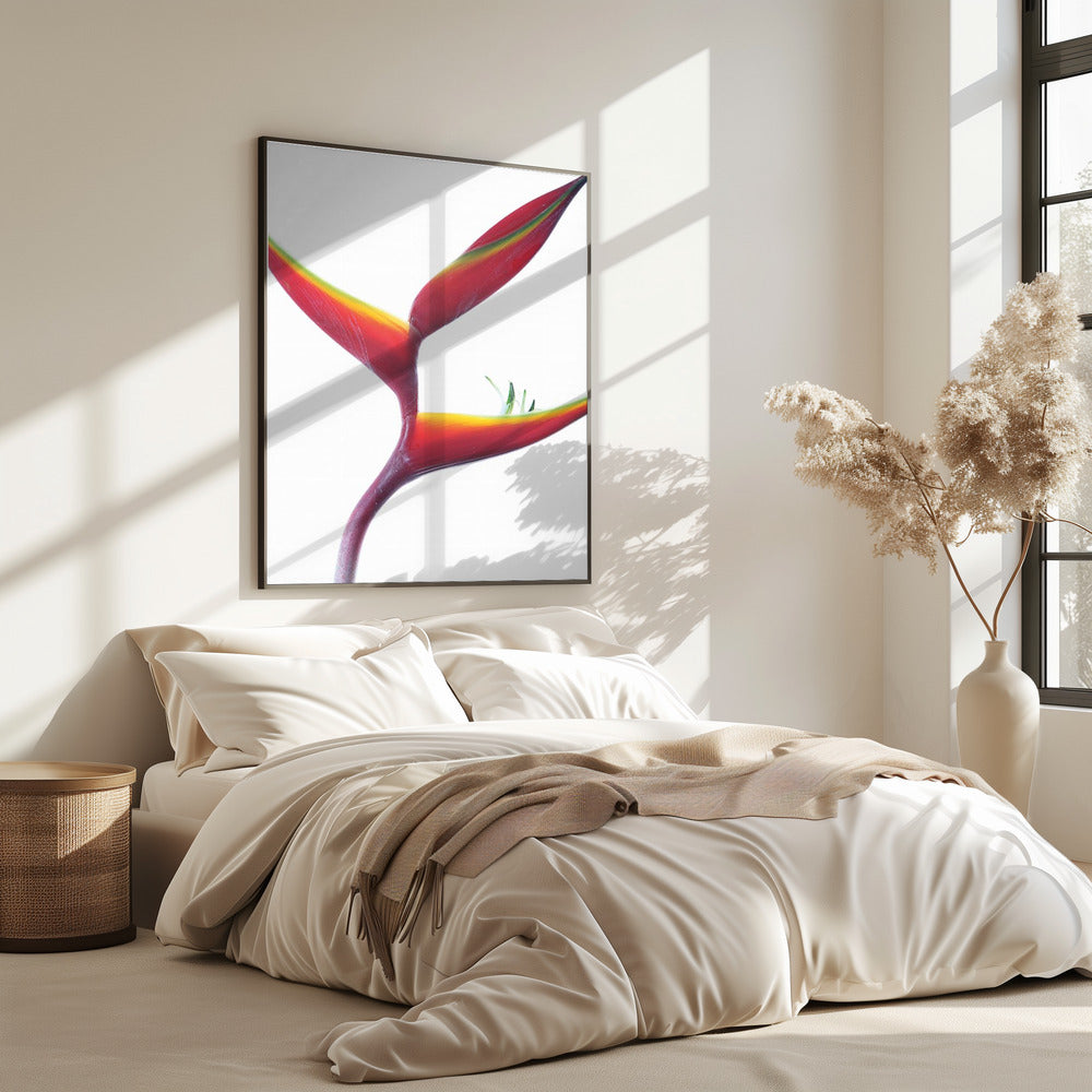 Tropical Elegance | Poster