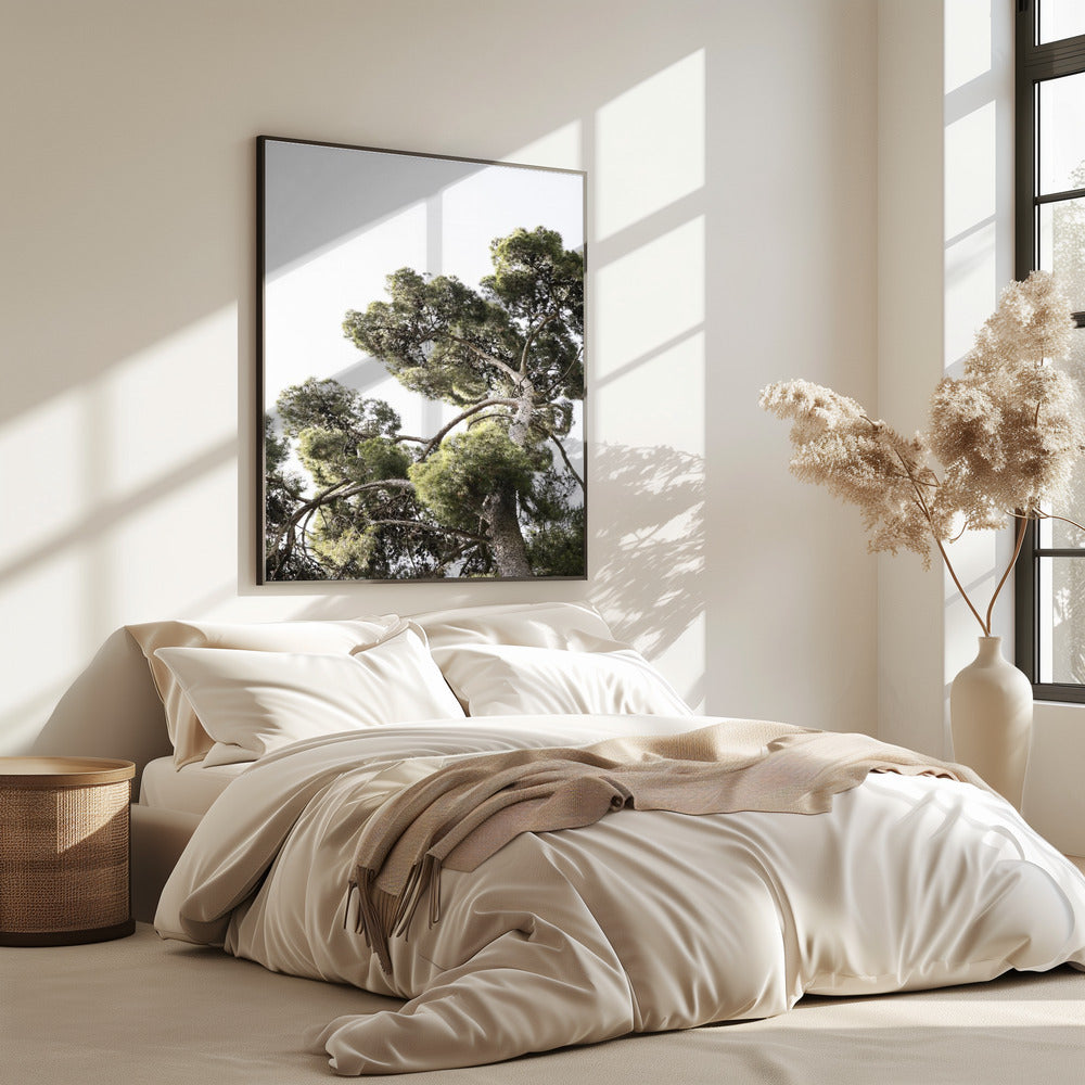 Towering Pines | Poster