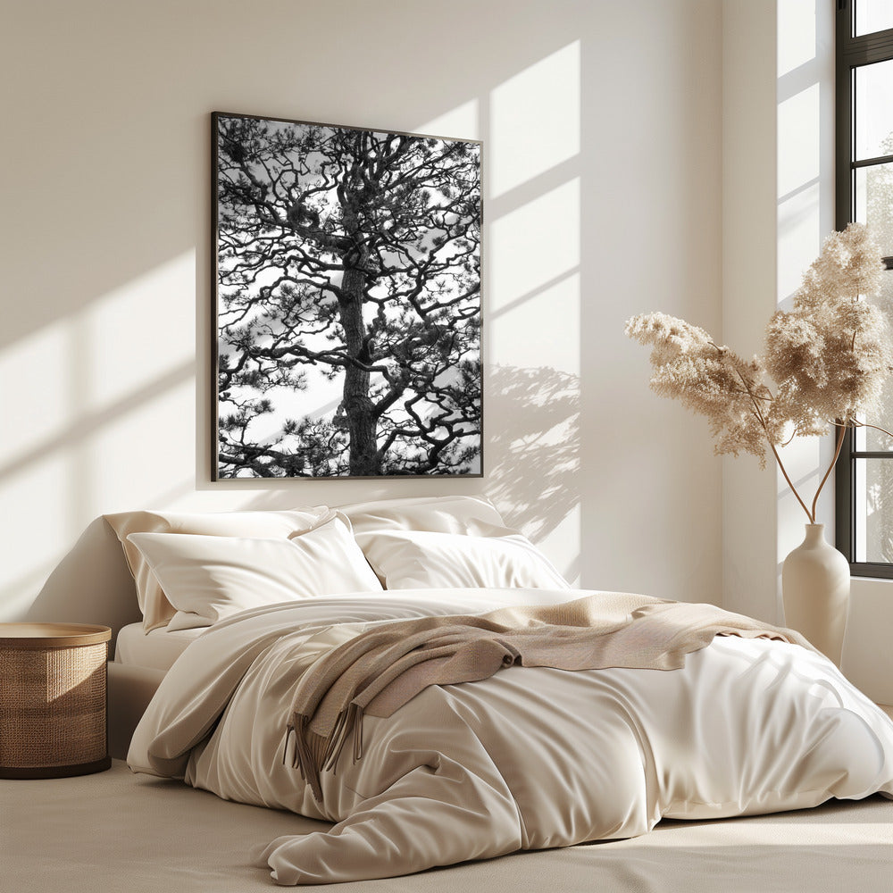 Twisting Tree Silhouette | Poster