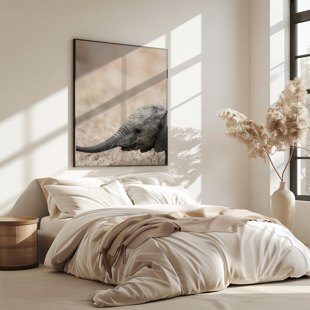 Gentle Giant&#039;s Gaze | Poster