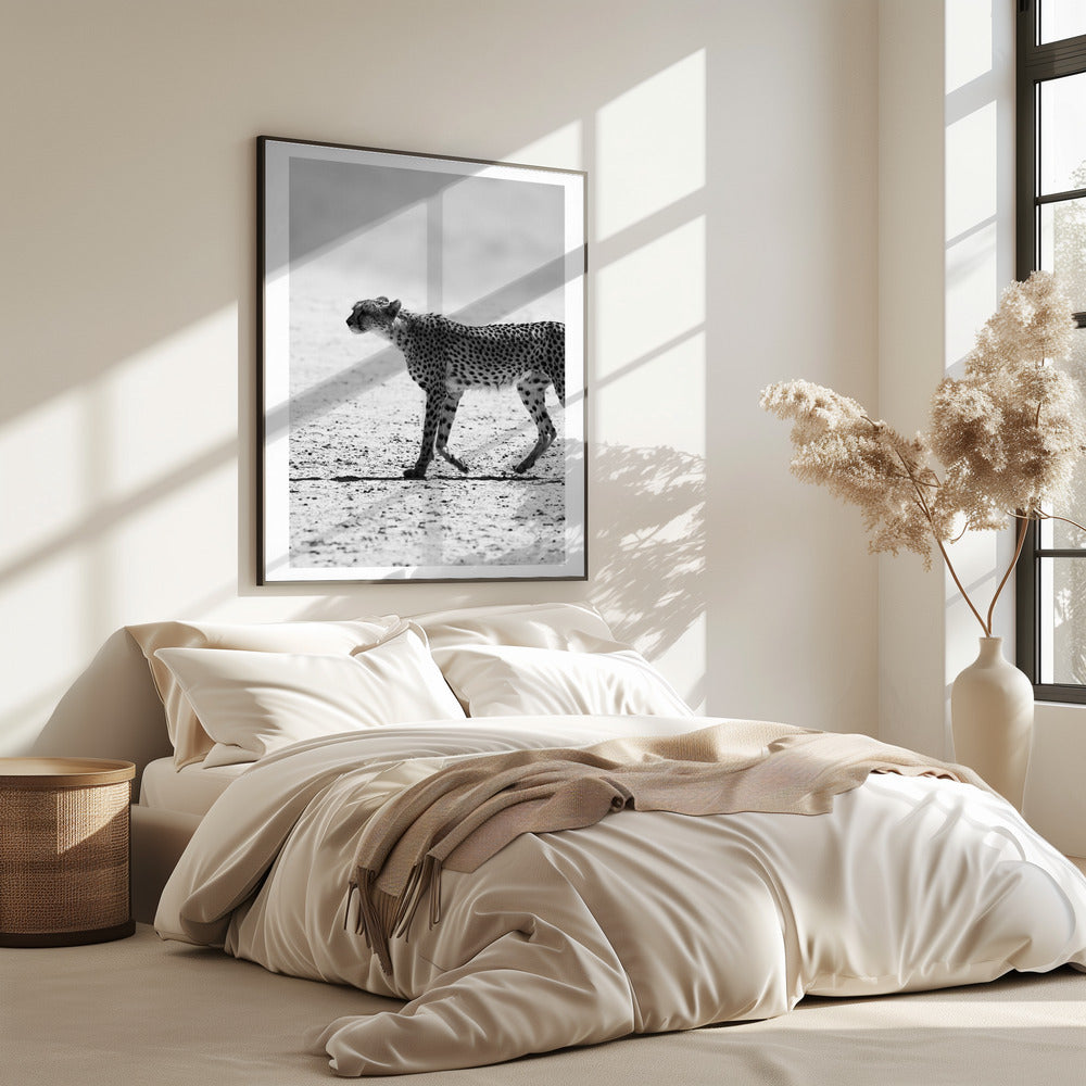 Cheetah&#039;s Stride | Poster