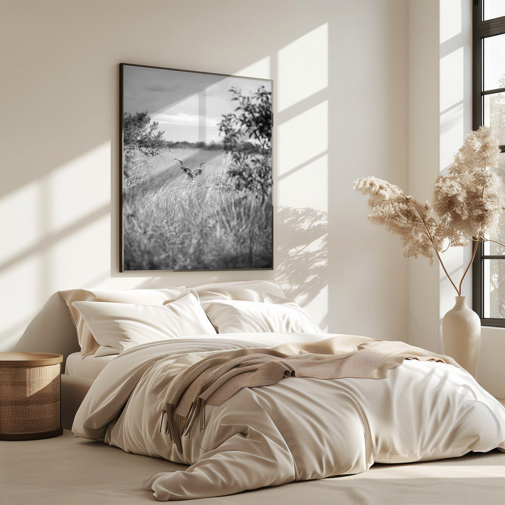 Hidden in the Grass | Poster