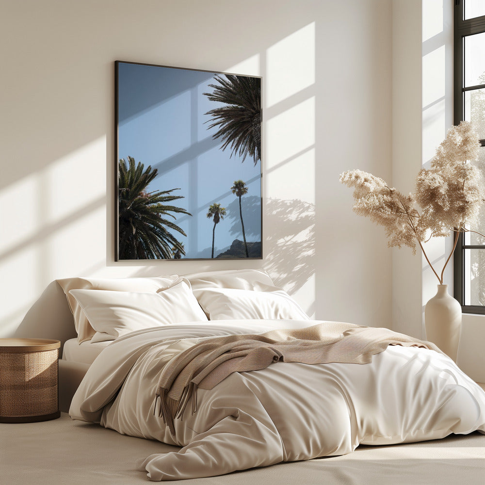 Sunny Palm Heights | Poster