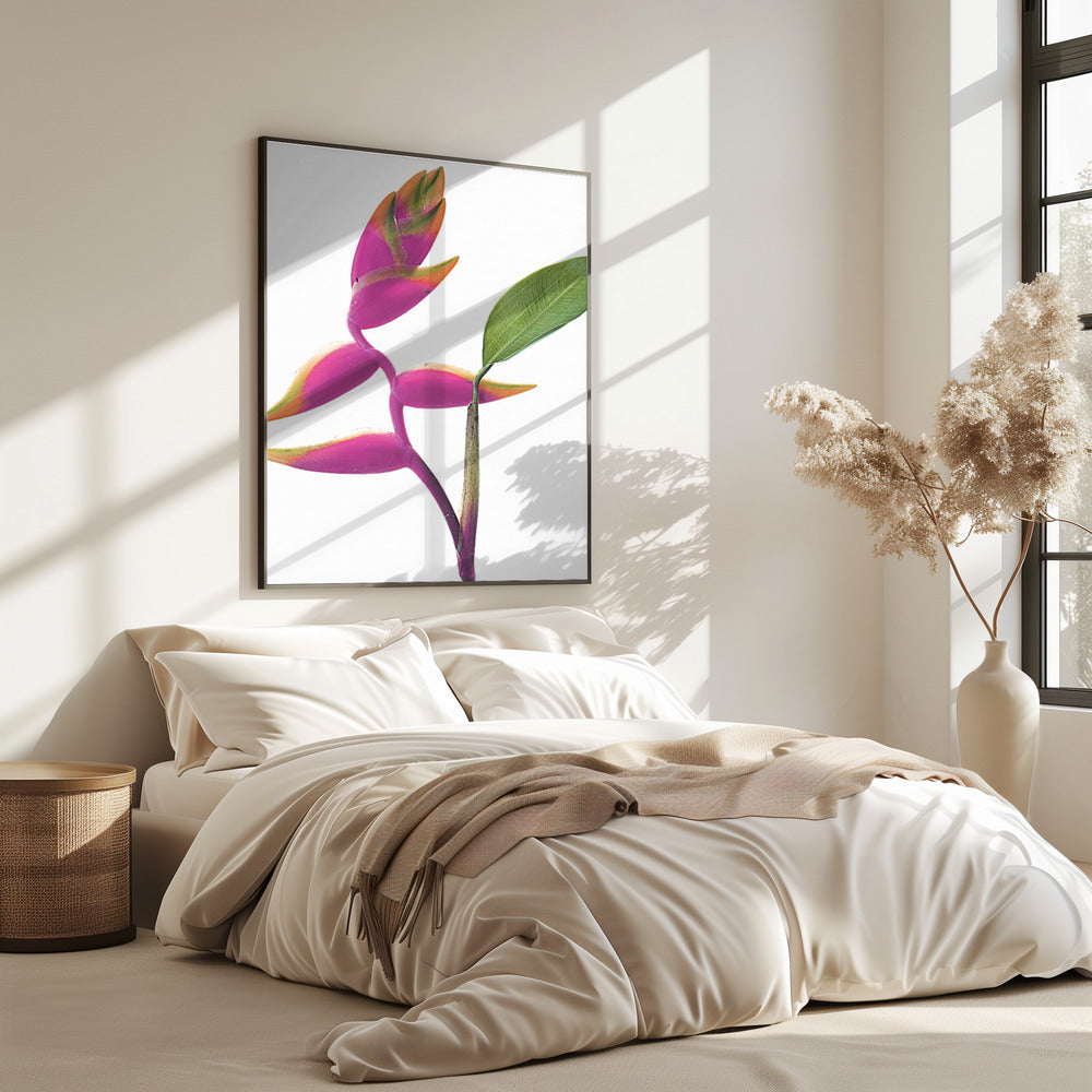 Tropical Elegance | Poster