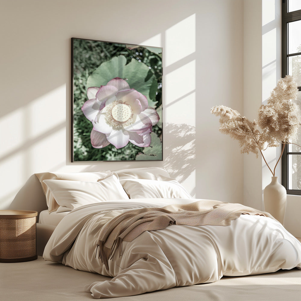 Lotus Serenity | Poster