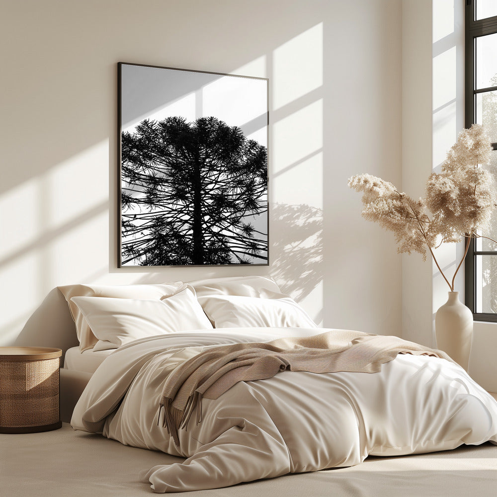 Silhouetted Symmetry | Poster