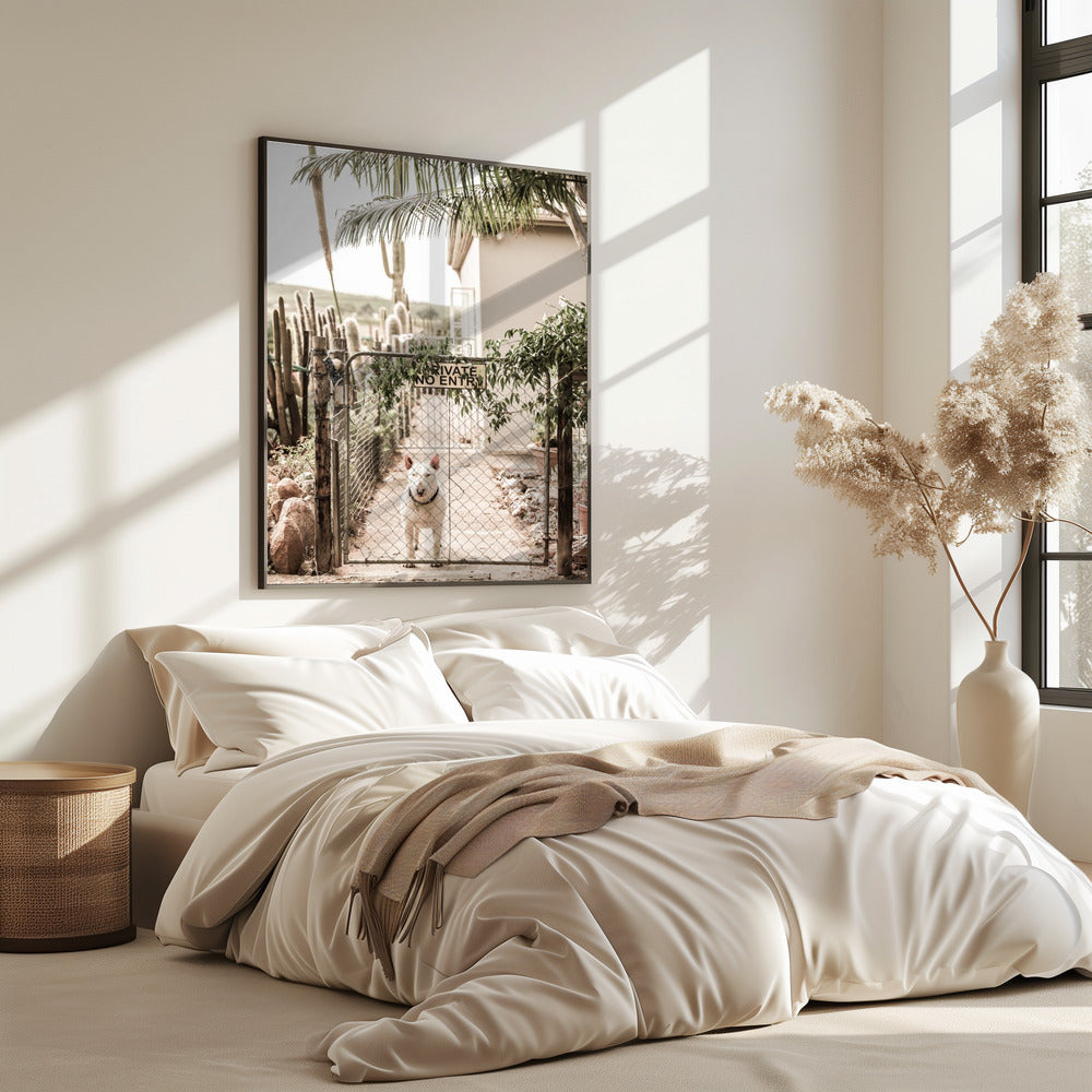 Guarding Serenity | Poster