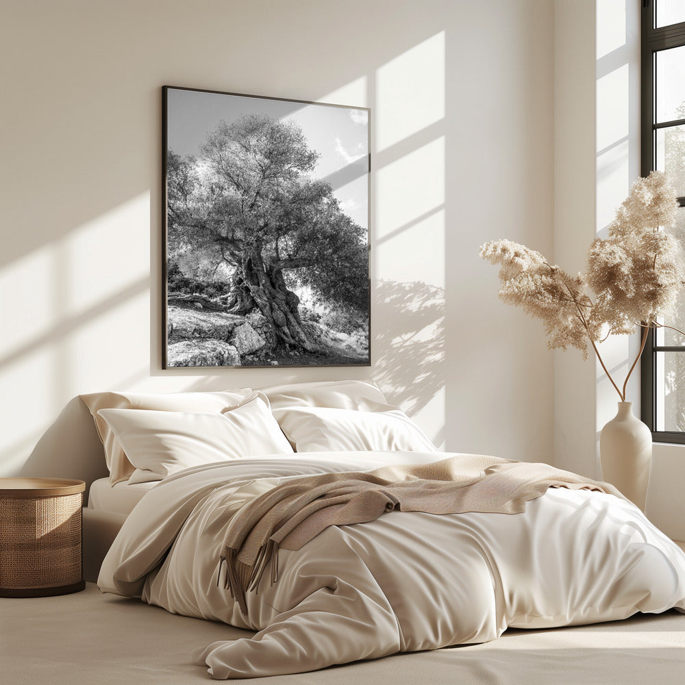 Ancient Sentinel | Poster