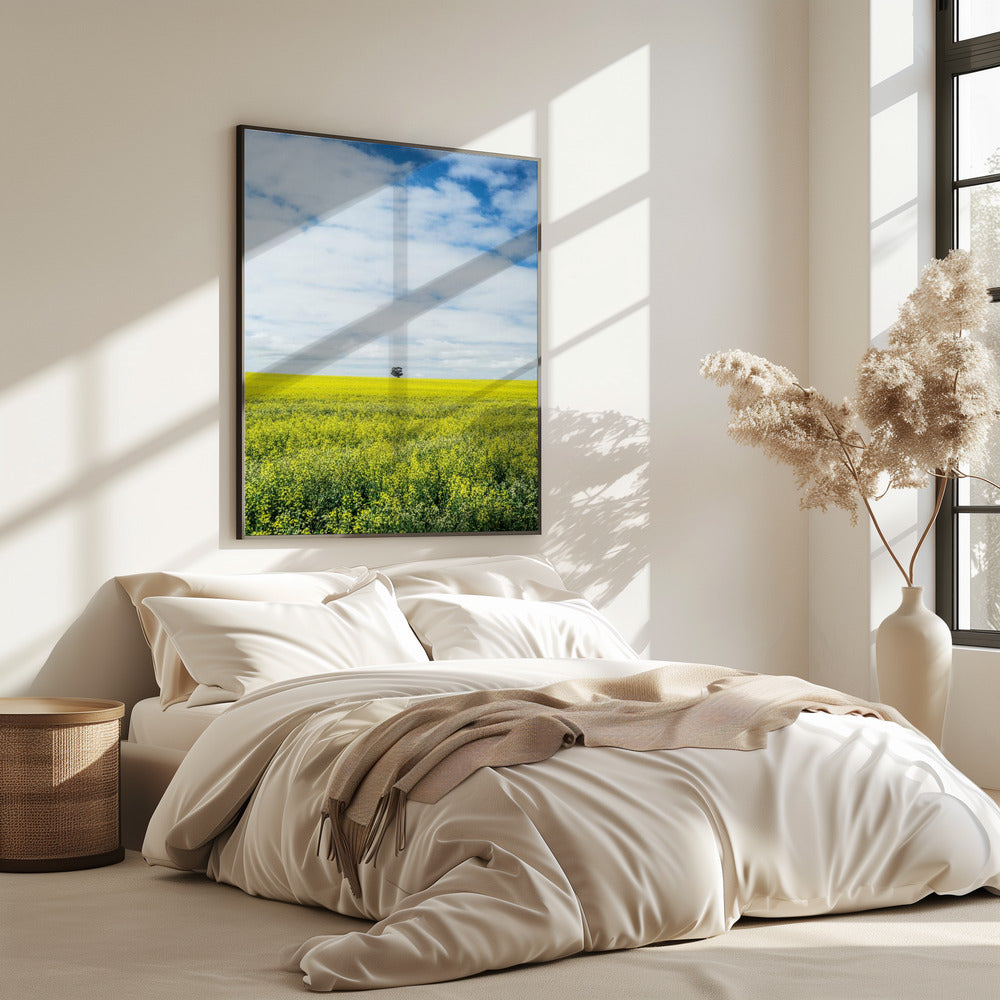 Solitary Tree Horizon | Poster