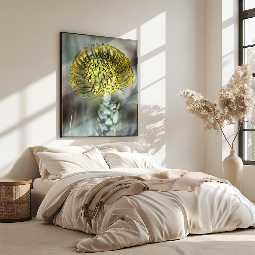 Golden Bloom Burst | Poster