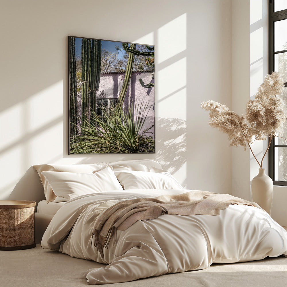 Cactus &amp; Pink Wall | Poster
