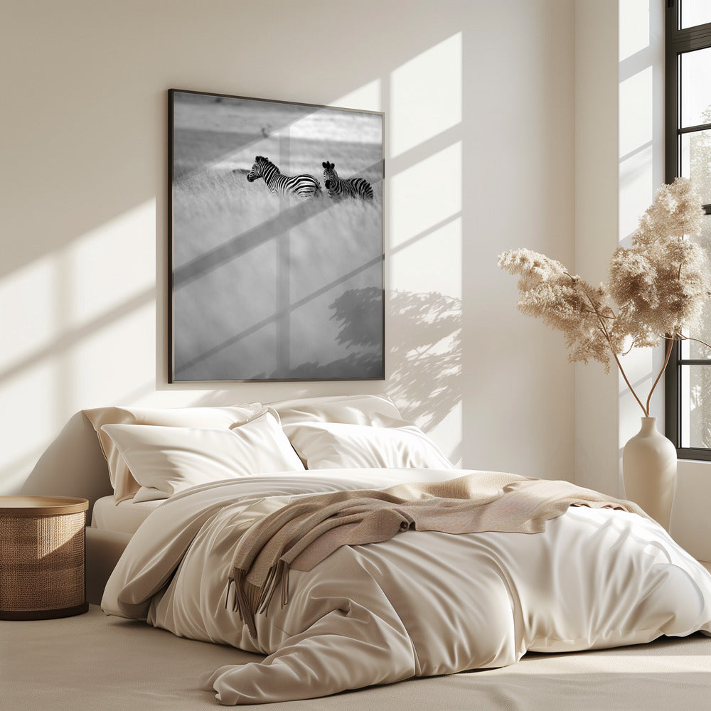 Zebras in the Mist | Poster