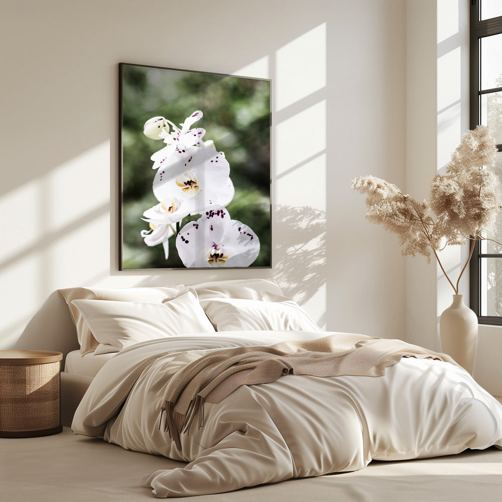 Spring Blooms | Poster