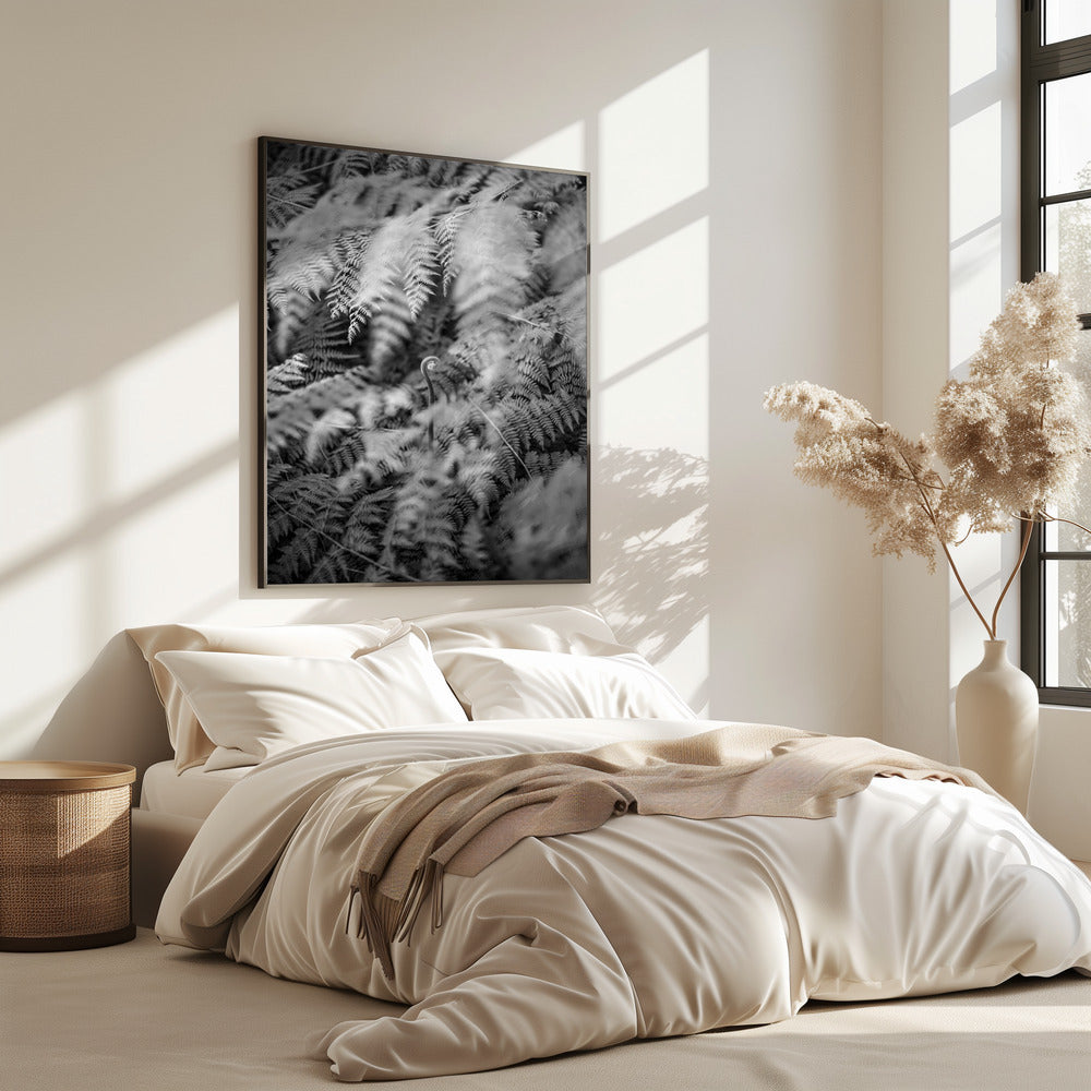 Black And White Photograph | Poster