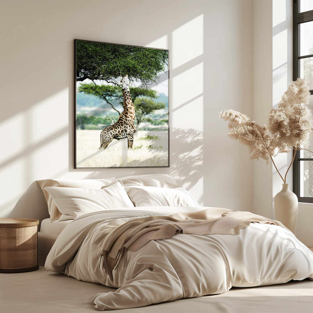 Majestic Giraffe Stretches | Poster