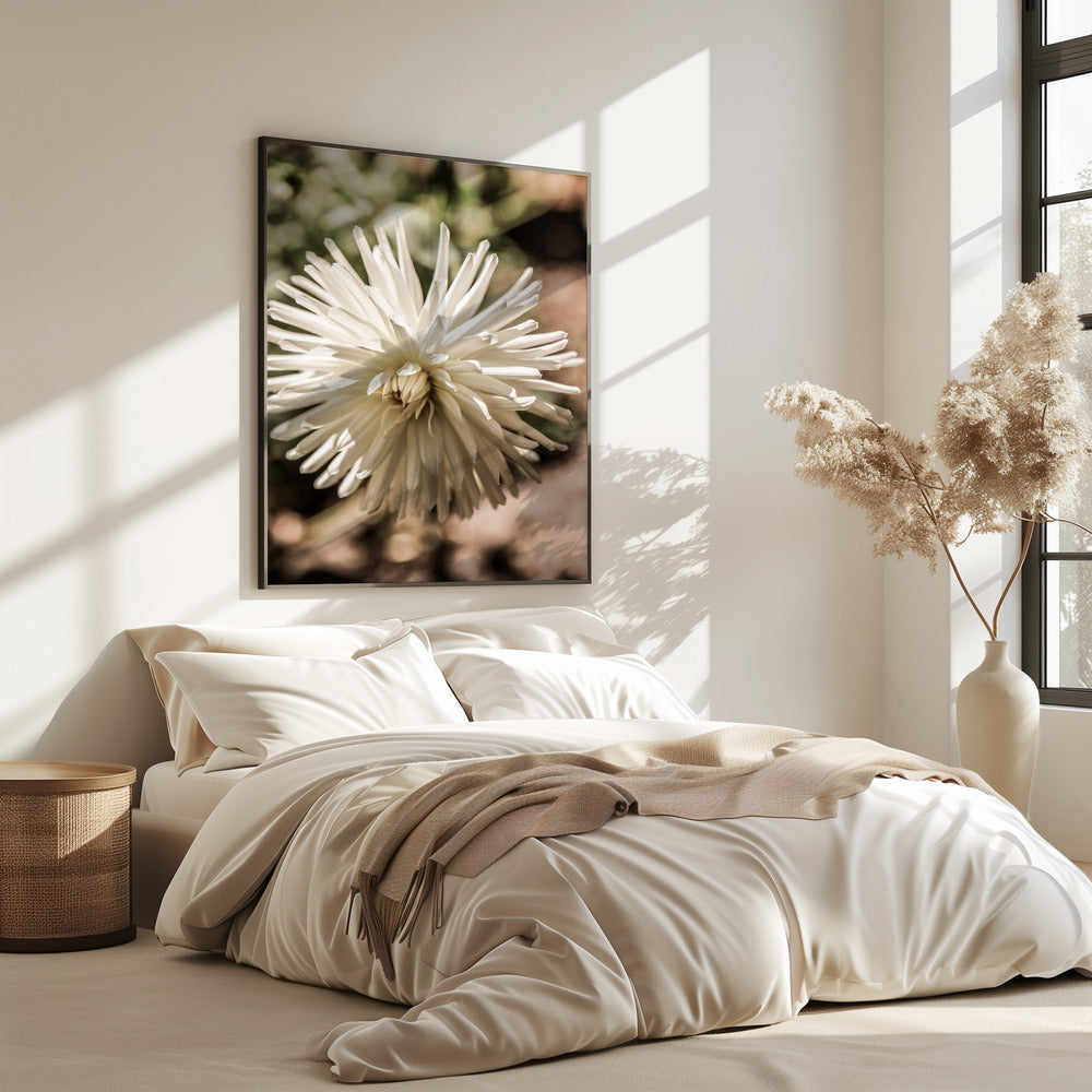 White Blossom Glow | Poster