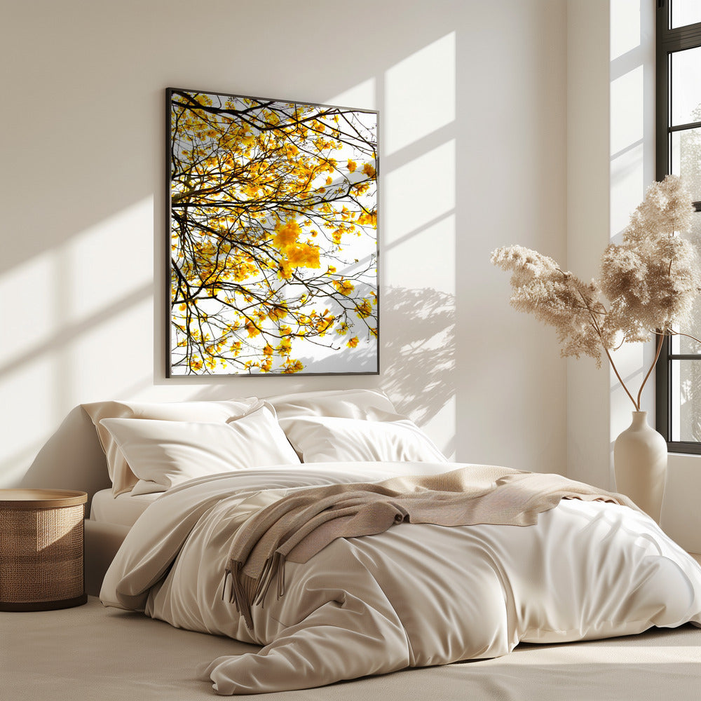 Golden Canopy Burst | Poster