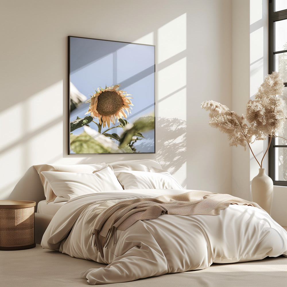 Golden Bloom Sky | Poster