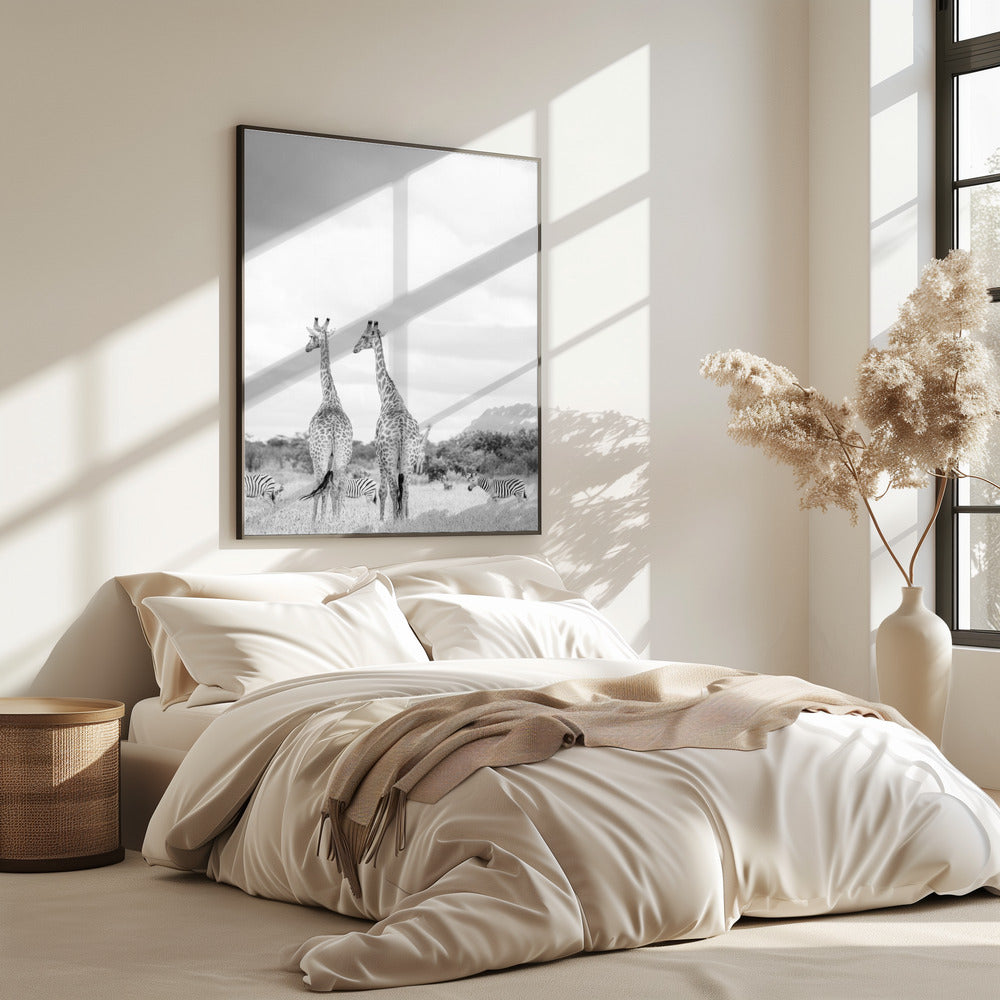 Super Safari | Poster