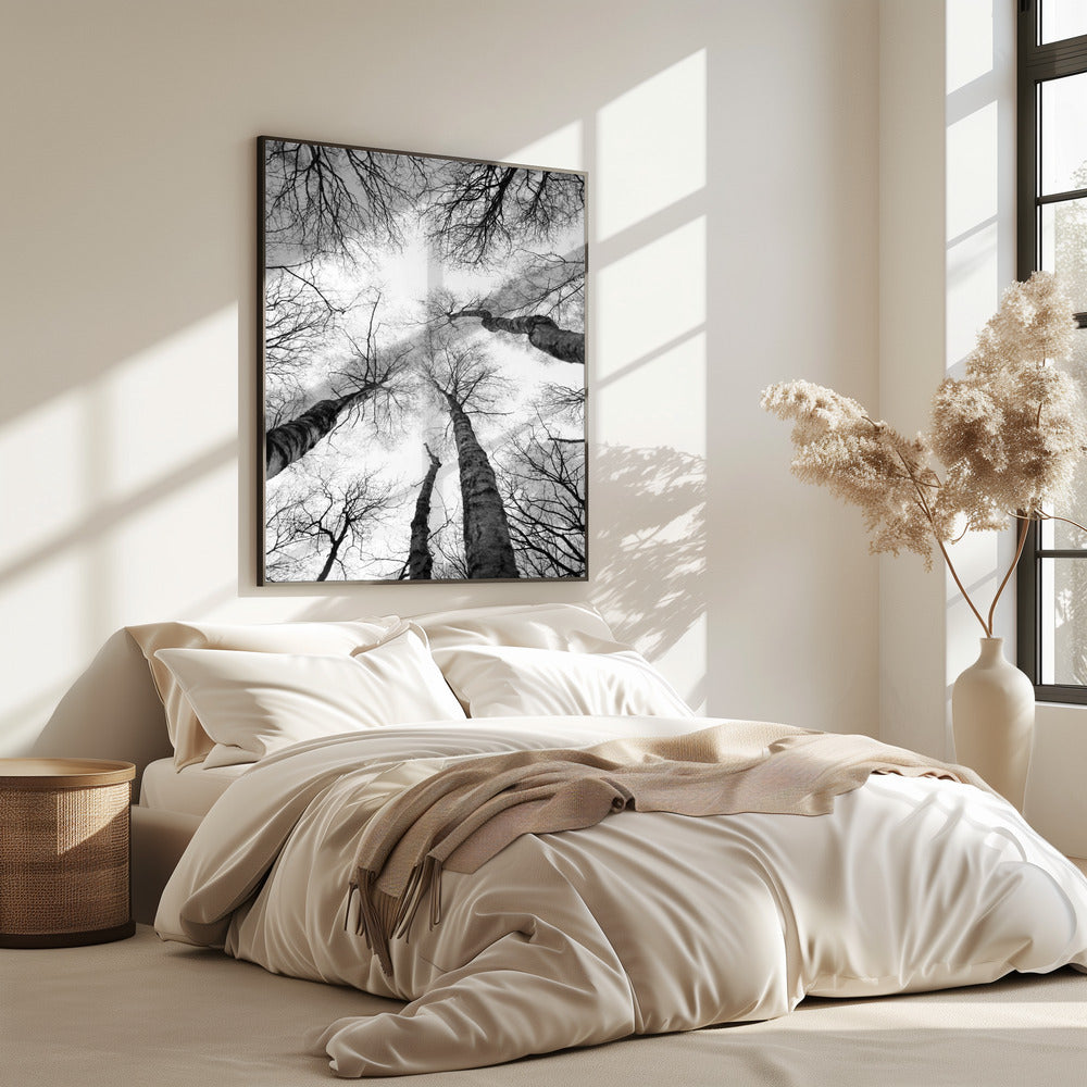 Reaching Branches | Poster