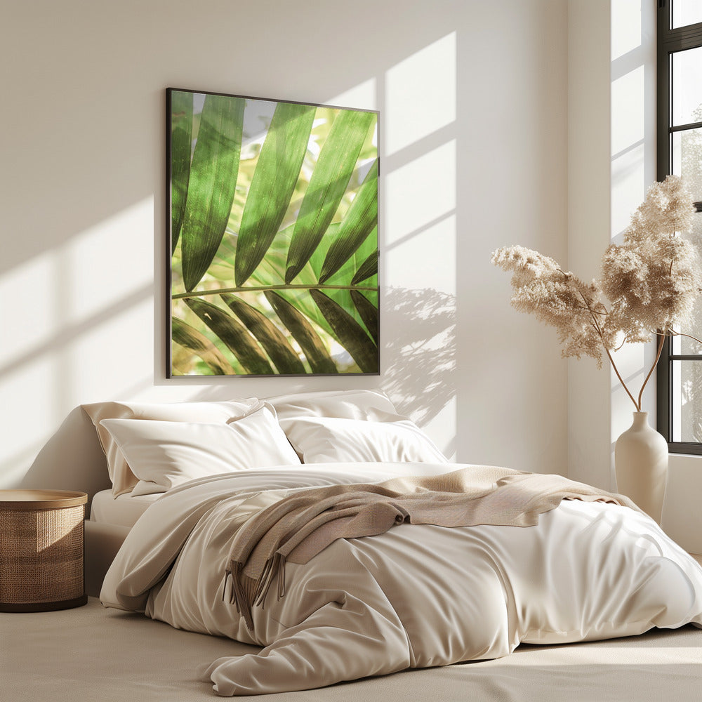 Beauty Of Palm Leaves | Poster
