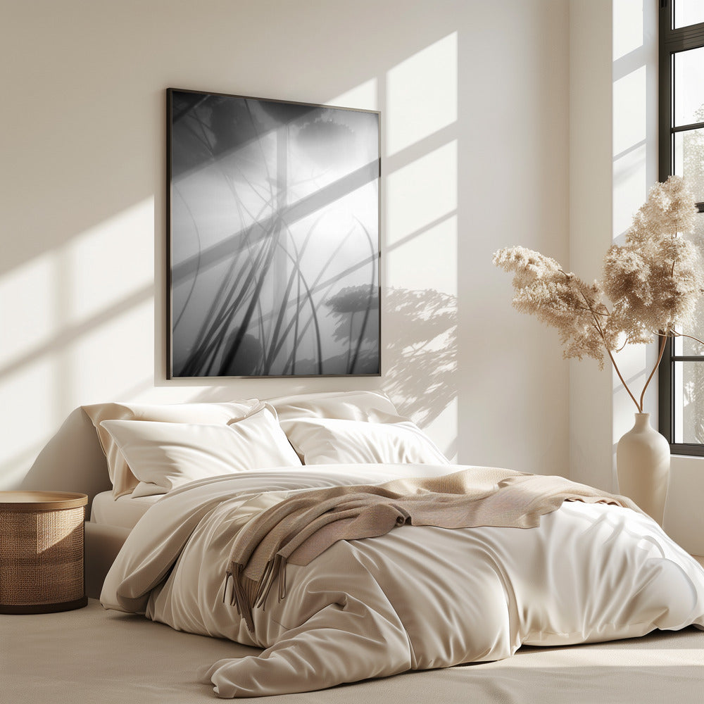 Water Lilly | Poster